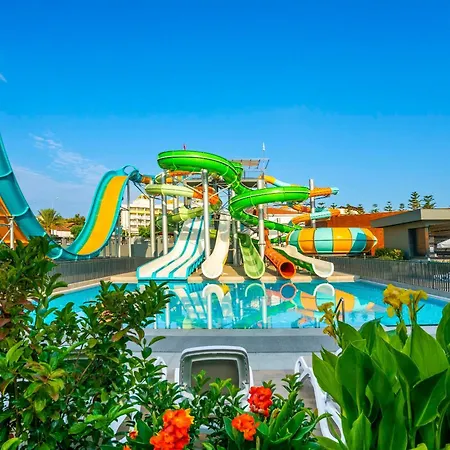 Calyptus Kirman Premium シダ