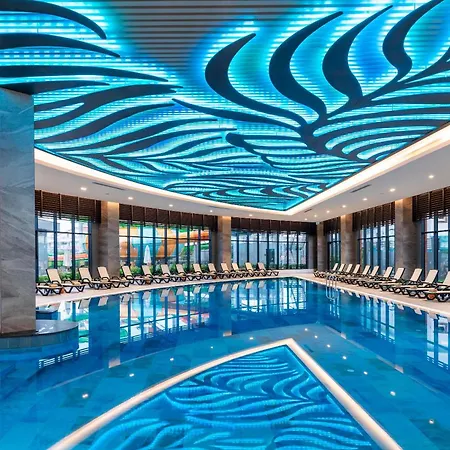 Calyptus Kirman Premium 5* シダ