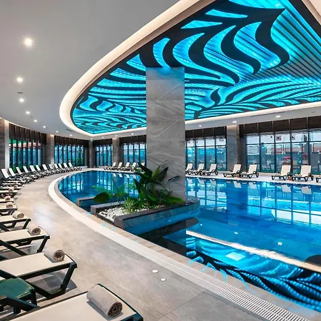 Calyptus Kirman Premium シダ