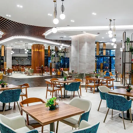 Calyptus Kirman Premium 5* シダ