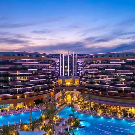 Calyptus Kirman Premium