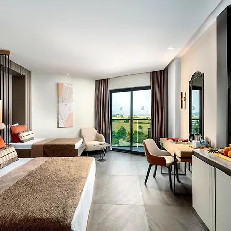 Calyptus Kirman Premium