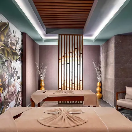 Hotel Calyptus Kirman Premium