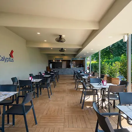 Hotel Calyptus Kirman Premium