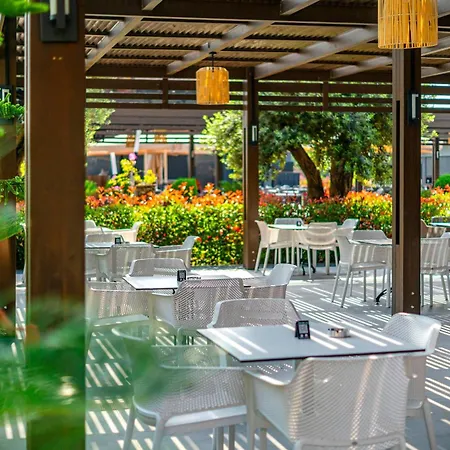 Hotel Calyptus Kirman Premium 5*