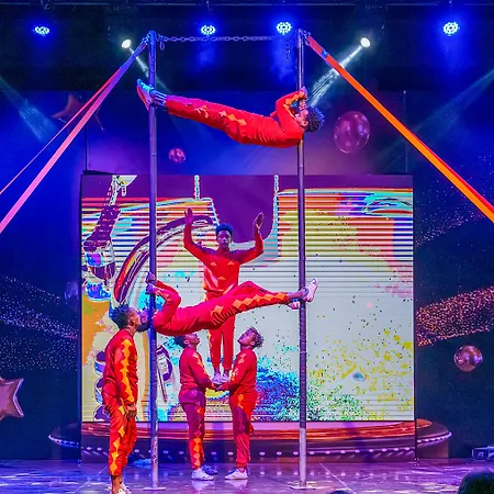 Calyptus Kirman Premium סייד