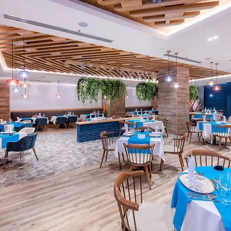 Calyptus Kirman Premium סייד