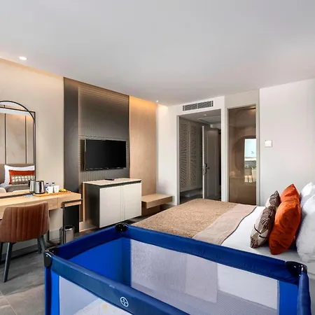 Calyptus Kirman Premium