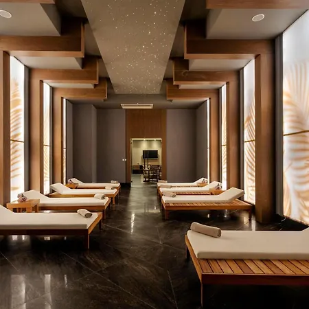 Calyptus Kirman Premium סייד