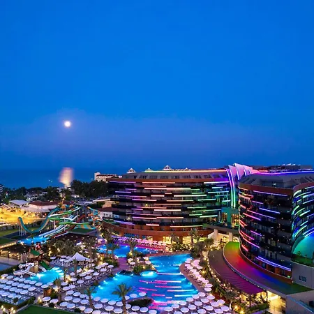 Calyptus Kirman Premium סייד