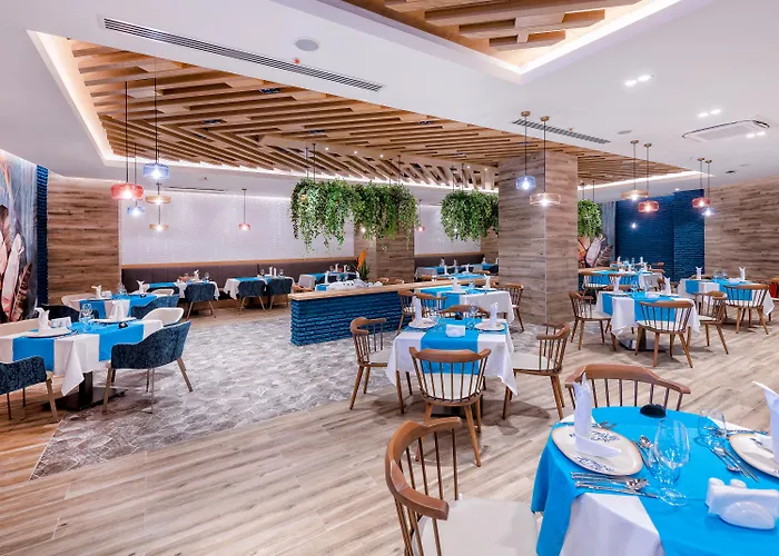 Calyptus Kirman Premium Side