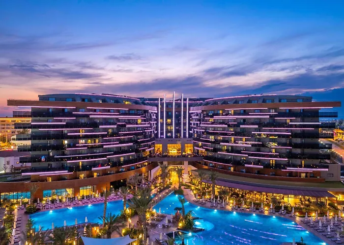 Calyptus Kirman Premium