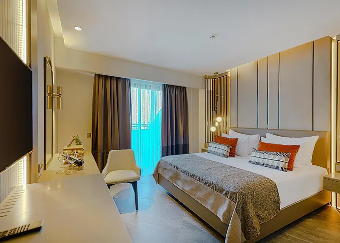 Calyptus Kirman Premium 시데