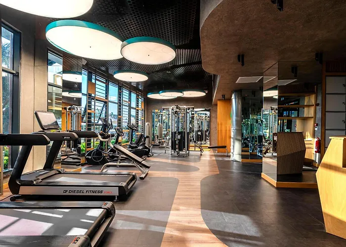 Calyptus Kirman Premium