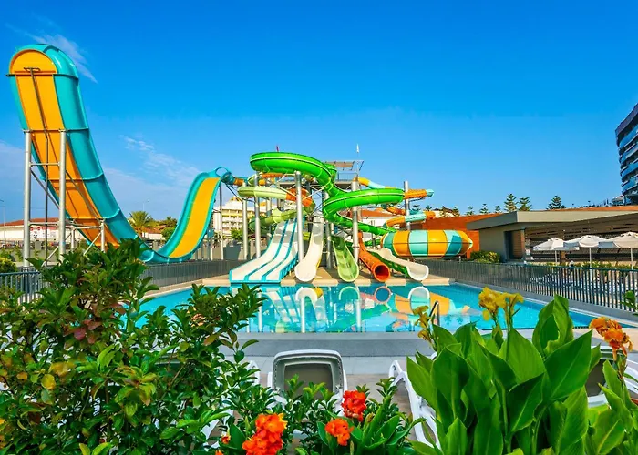 Calyptus Kirman Premium Side