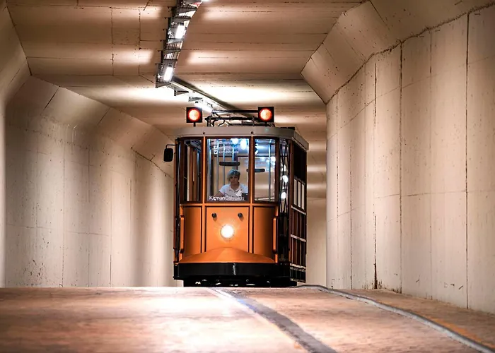 Calyptus Kirman Premium