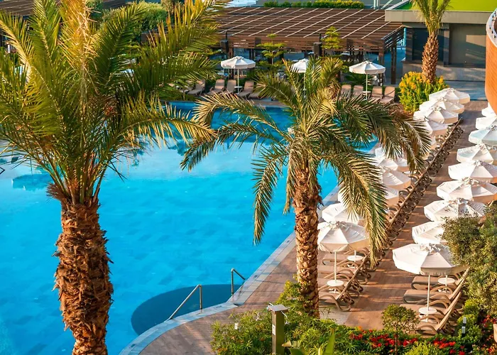 Calyptus Kirman Premium 시데