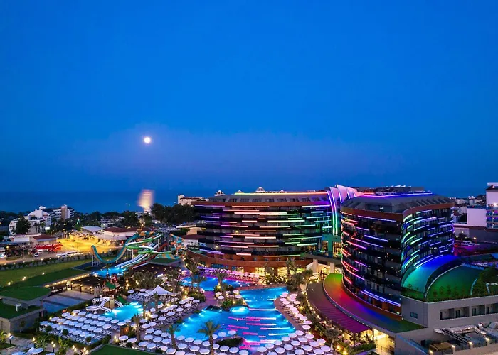 Calyptus Kirman Premium 시데