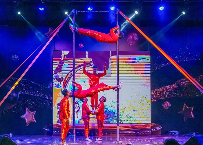 Calyptus Kirman Premium Σιντέ