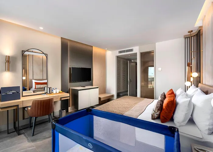 Calyptus Kirman Premium