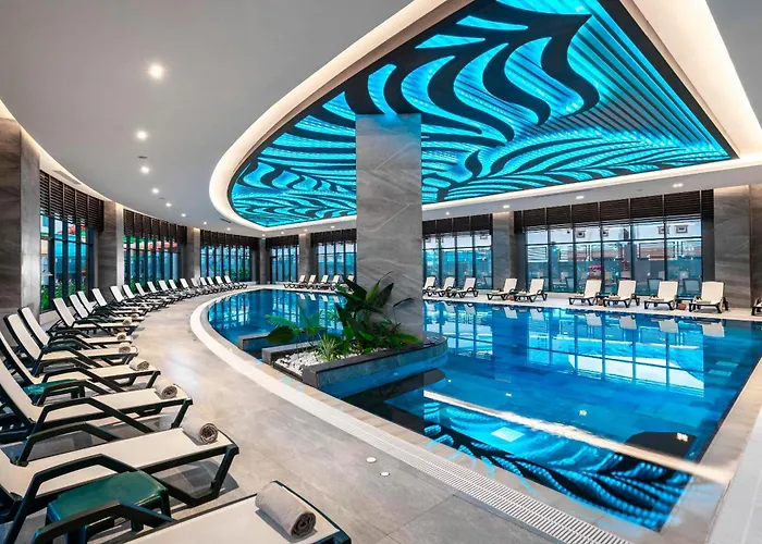 Calyptus Kirman Premium Σιντέ